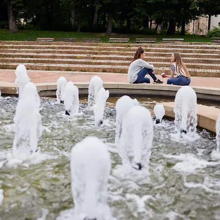 Co56 4* 开姆尼茨